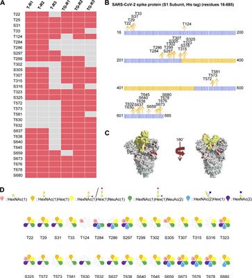 O-Glycosylation Landscapes of SARS-CoV-2 Spike Proteins